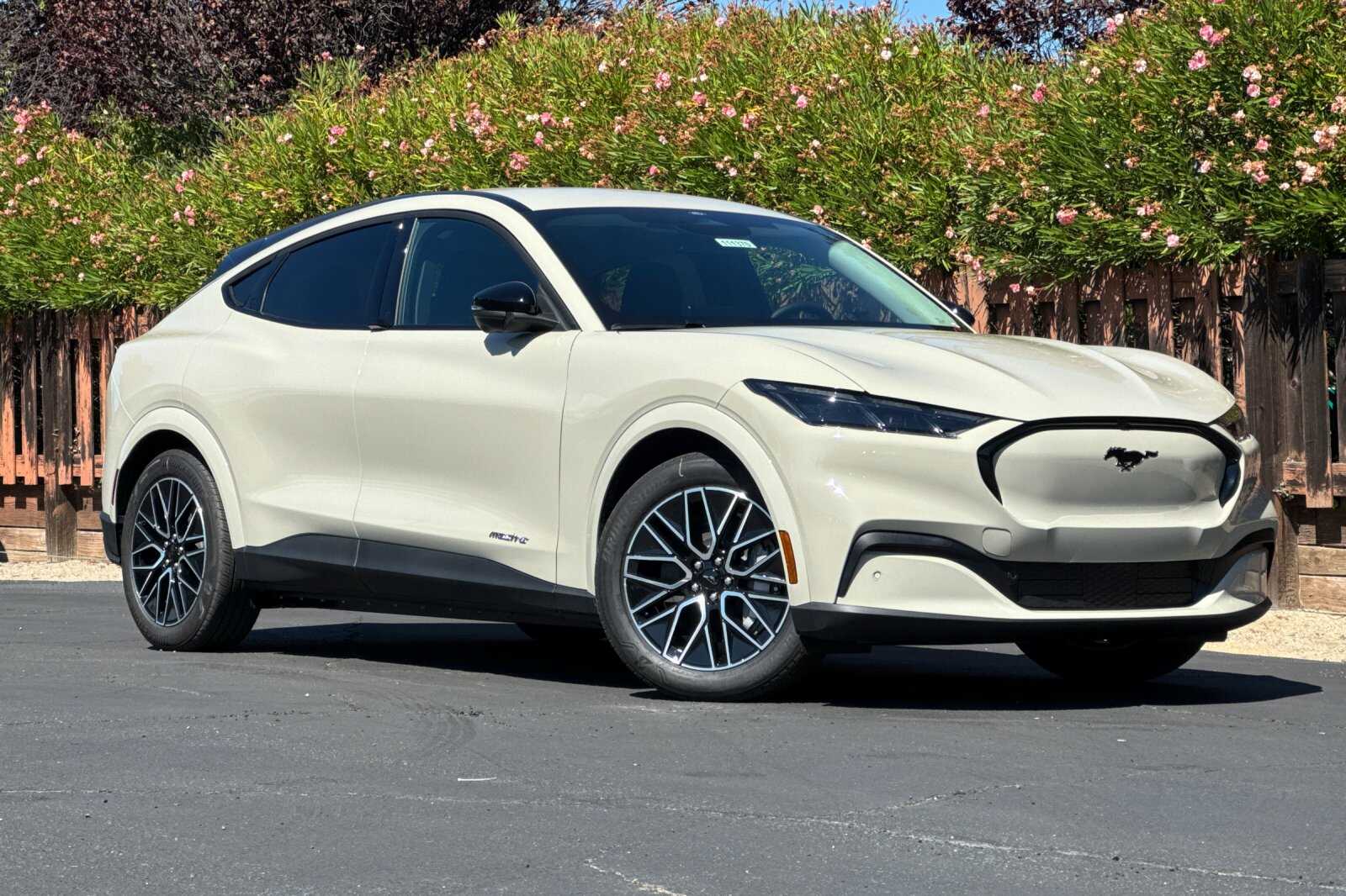 2025 Ford Mustang Mach-E Premium photo 2