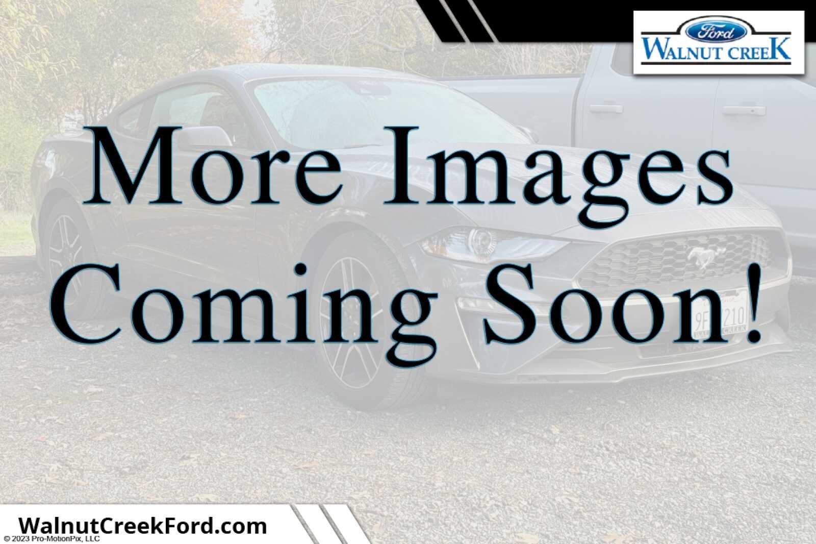 2022 Ford Mustang EcoBoost's photo