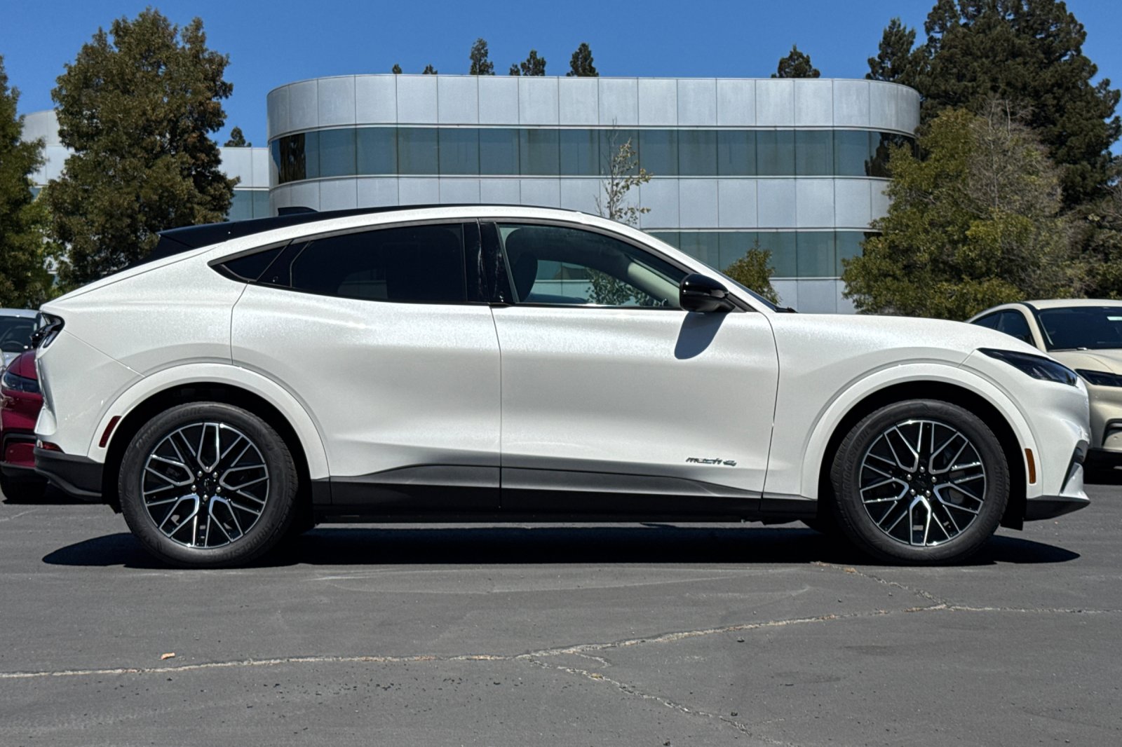 2025 Ford Mustang Mach-E Premium photo 3