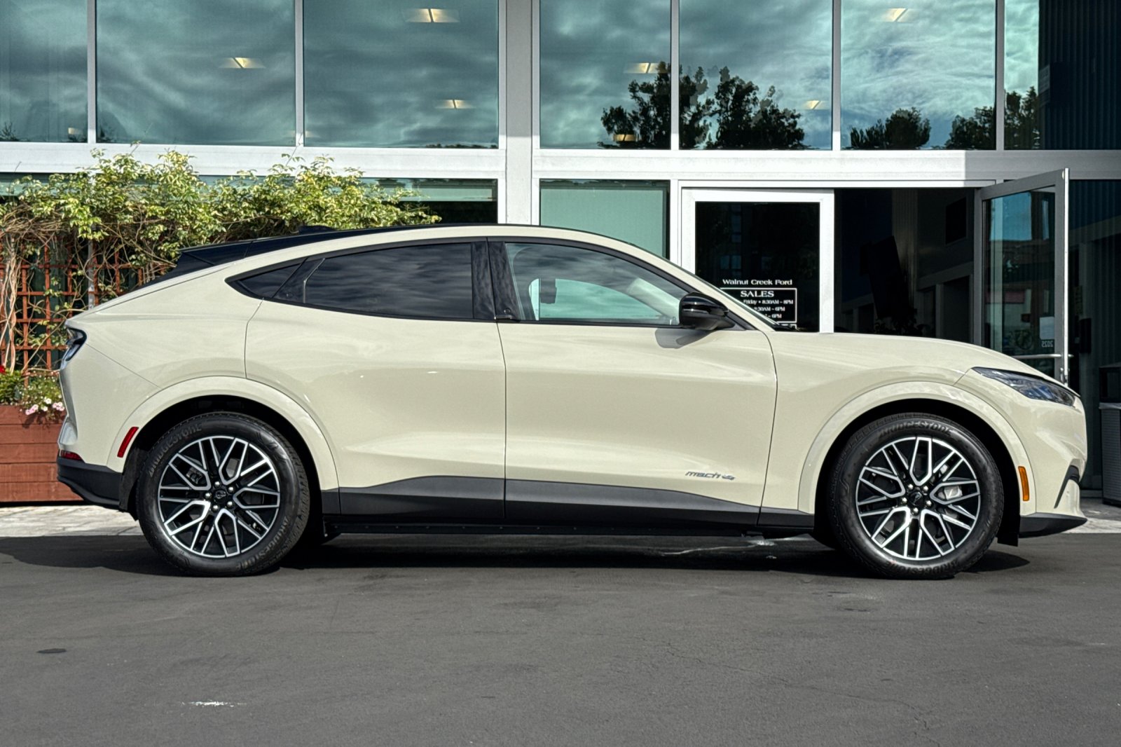 2025 Ford Mustang Mach-E Premium photo 3