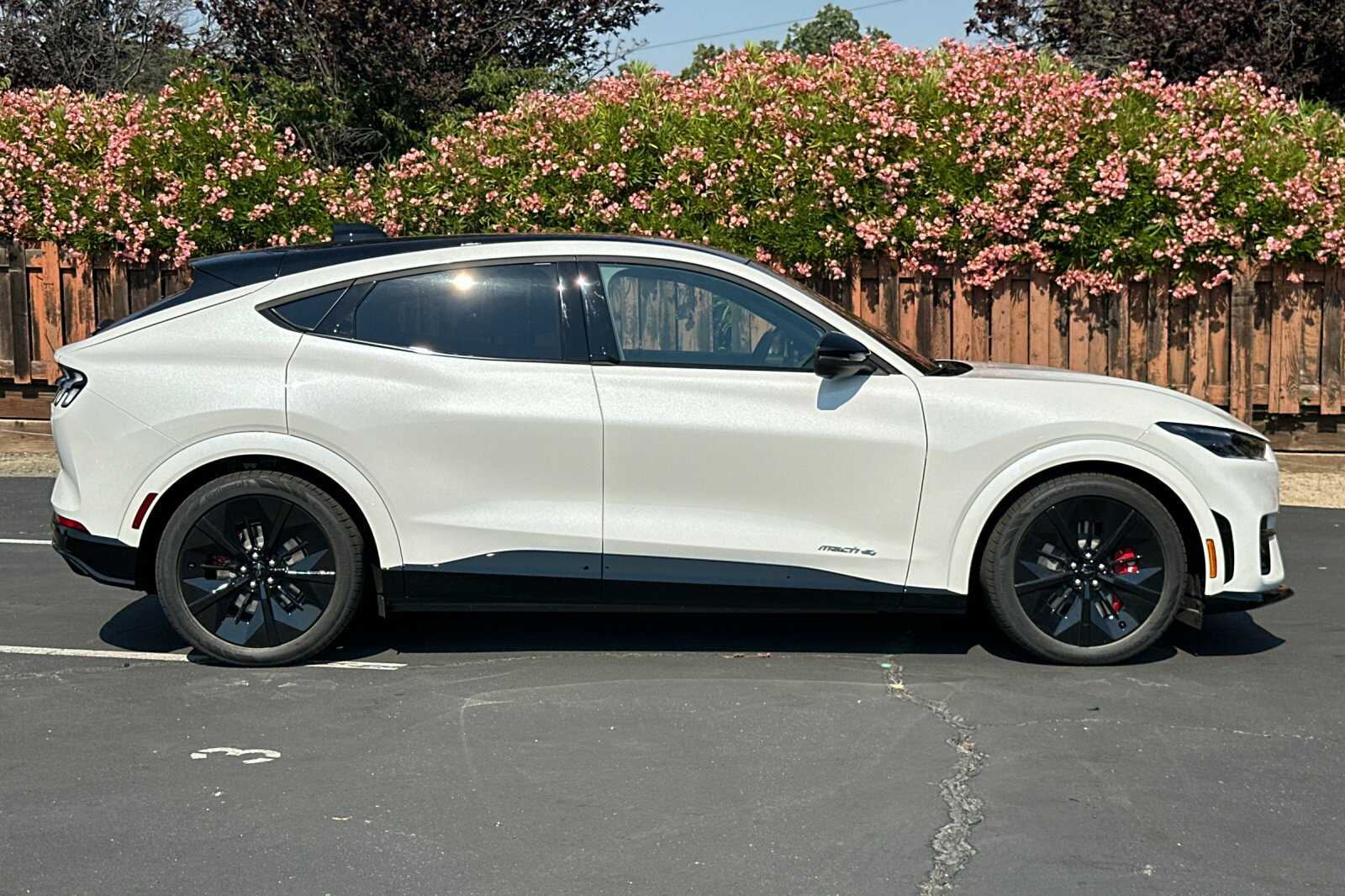 2025 Ford Mustang Mach-E GT photo 3