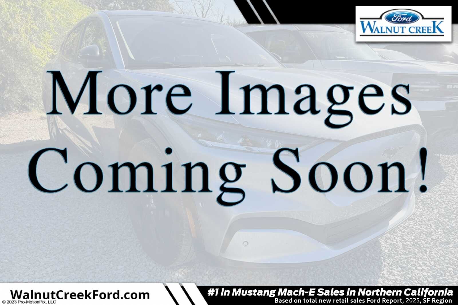 2022 Ford Mustang-Mach-e California Route 1's photo