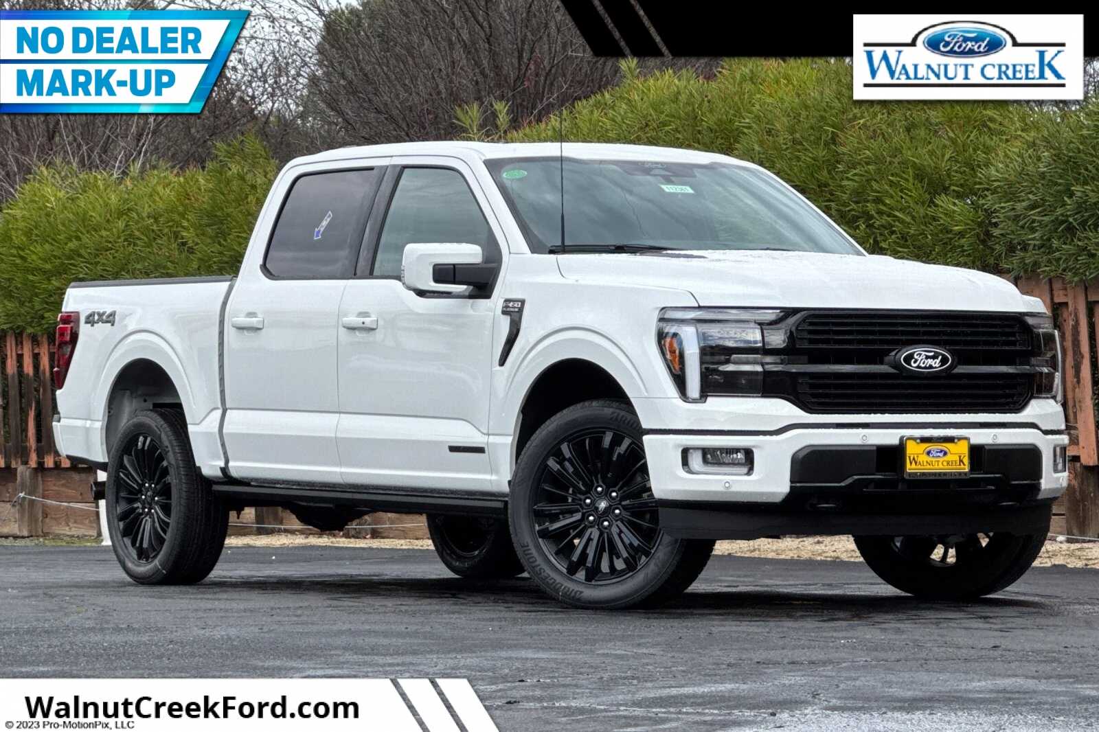 2025 Ford F-150 Platinum's photo
