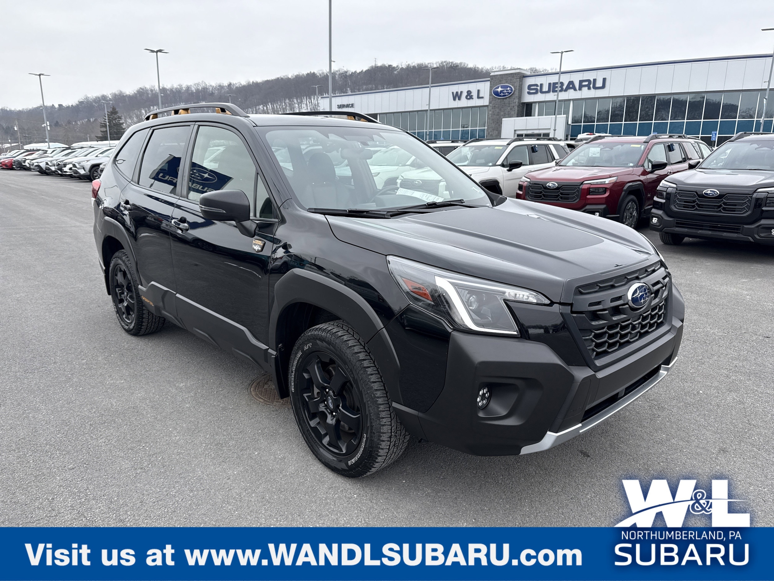 2023 Subaru Forester Wilderness