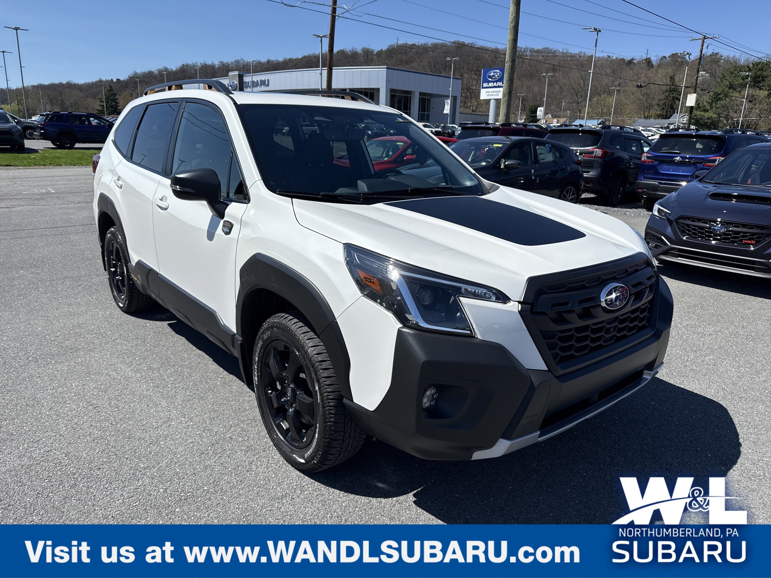2024 Subaru Forester Wilderness