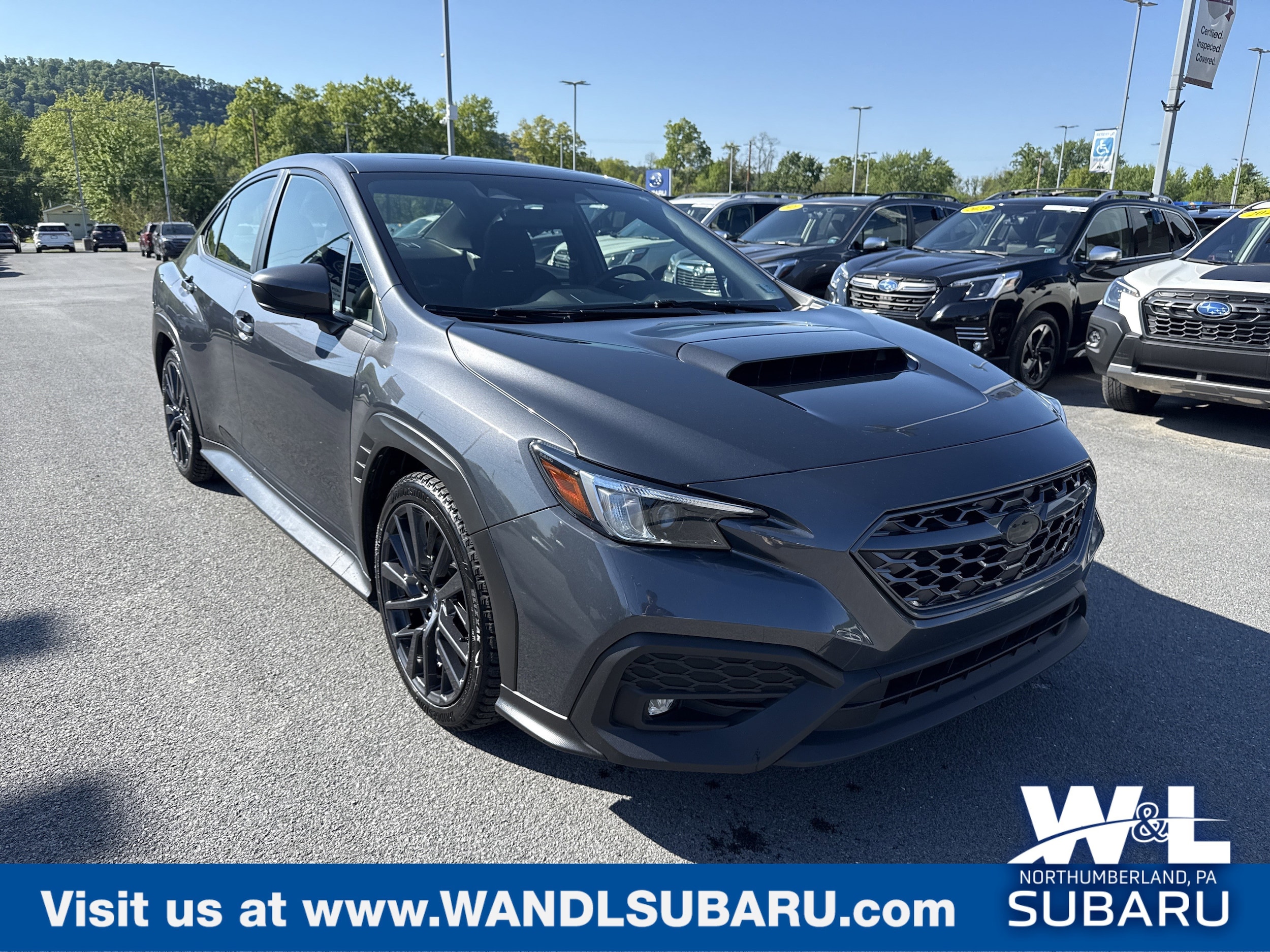 2024 Subaru WRX Premium's photo