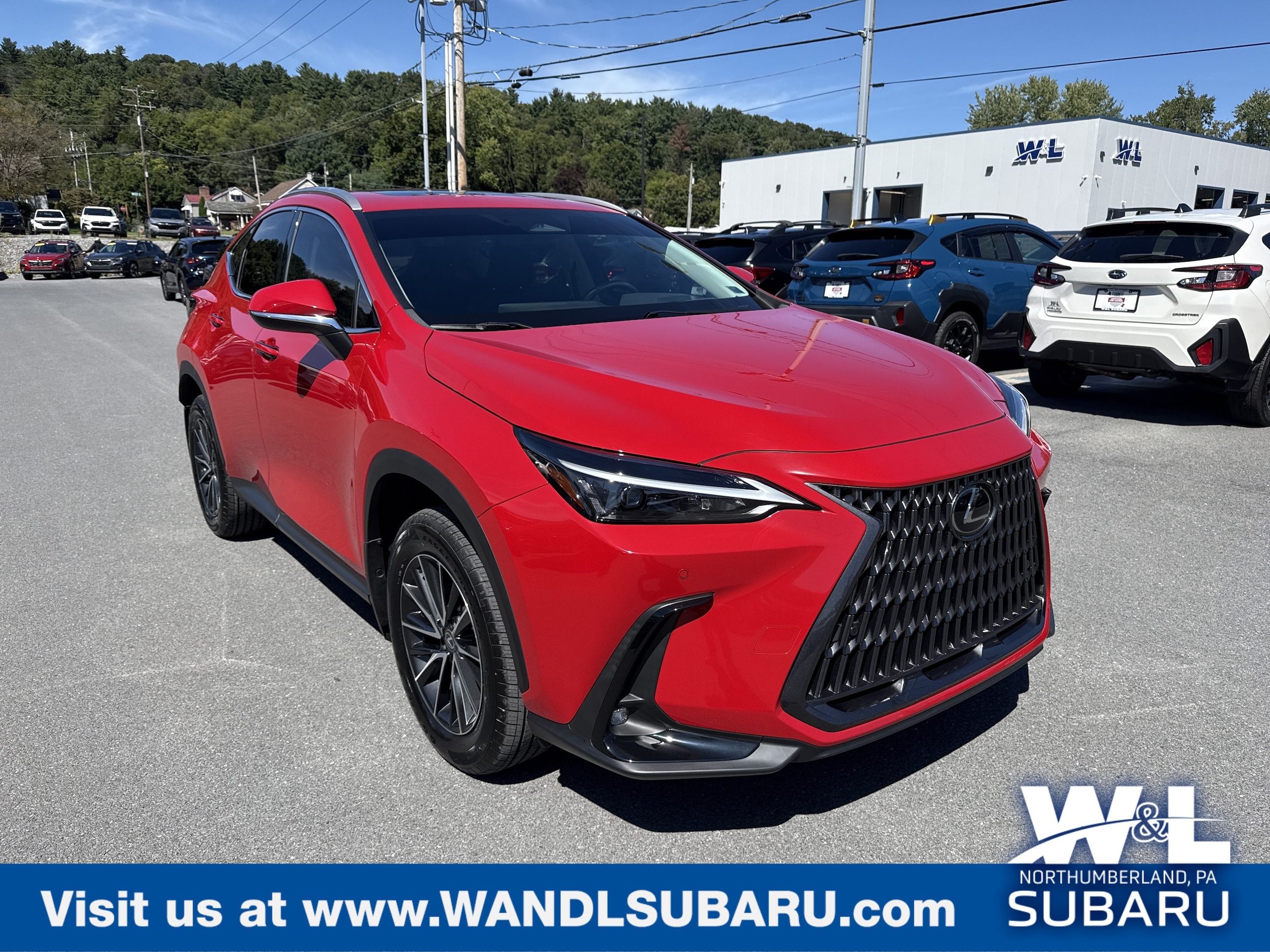 2024 Lexus NX Hybrid 350h