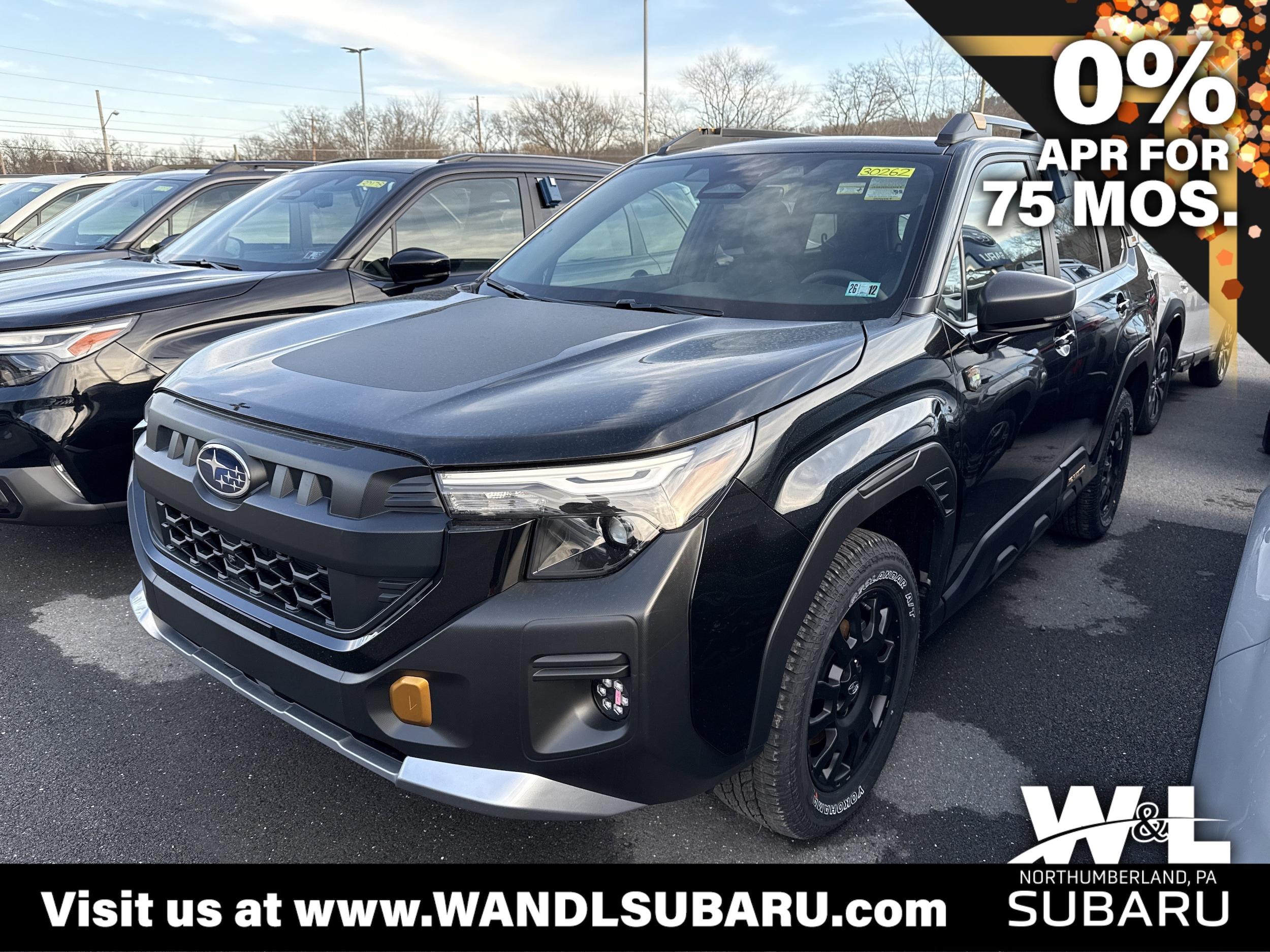 2026 Subaru Forester Wilderness's photo