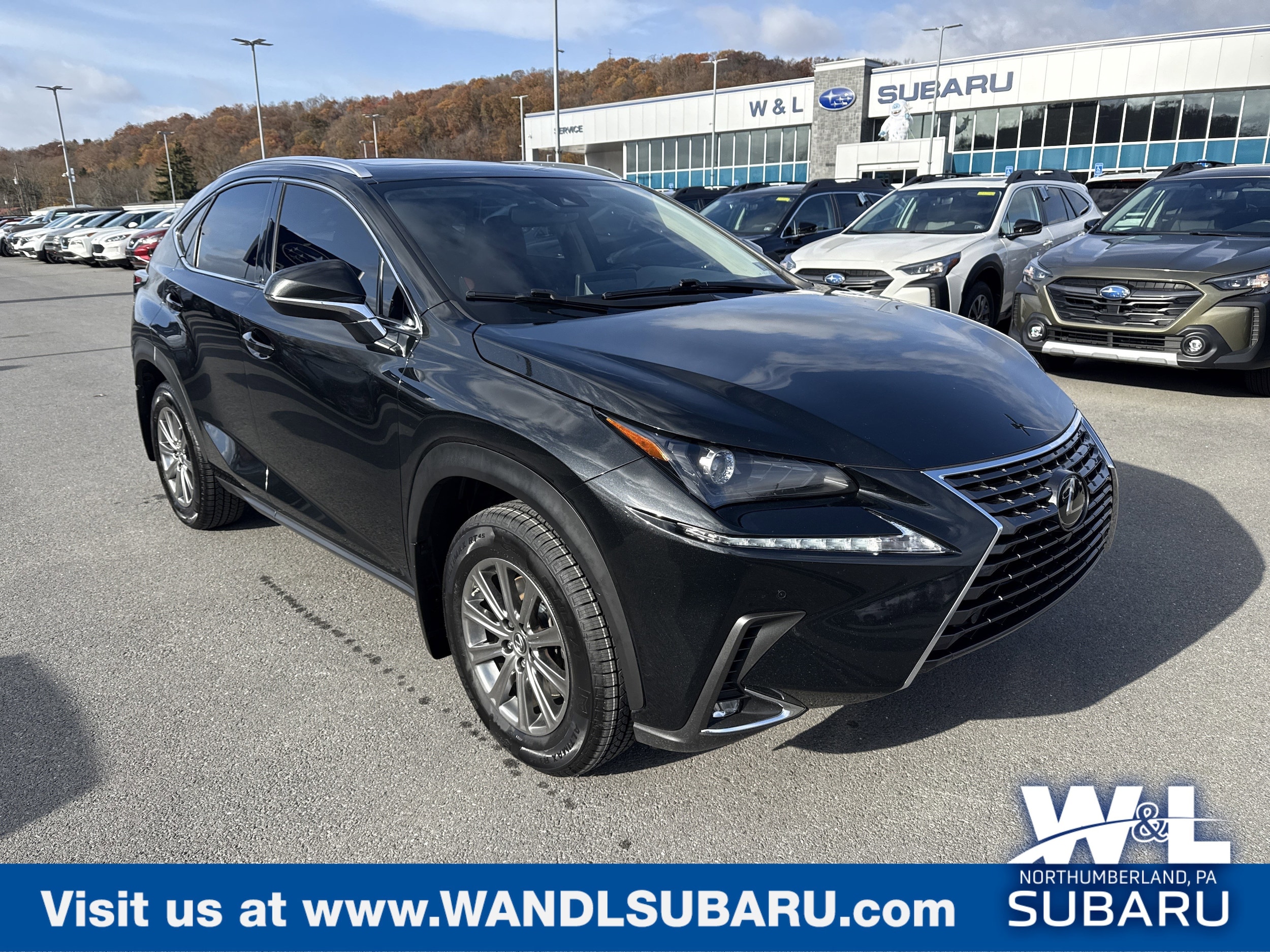 2021 Lexus NX 300's photo