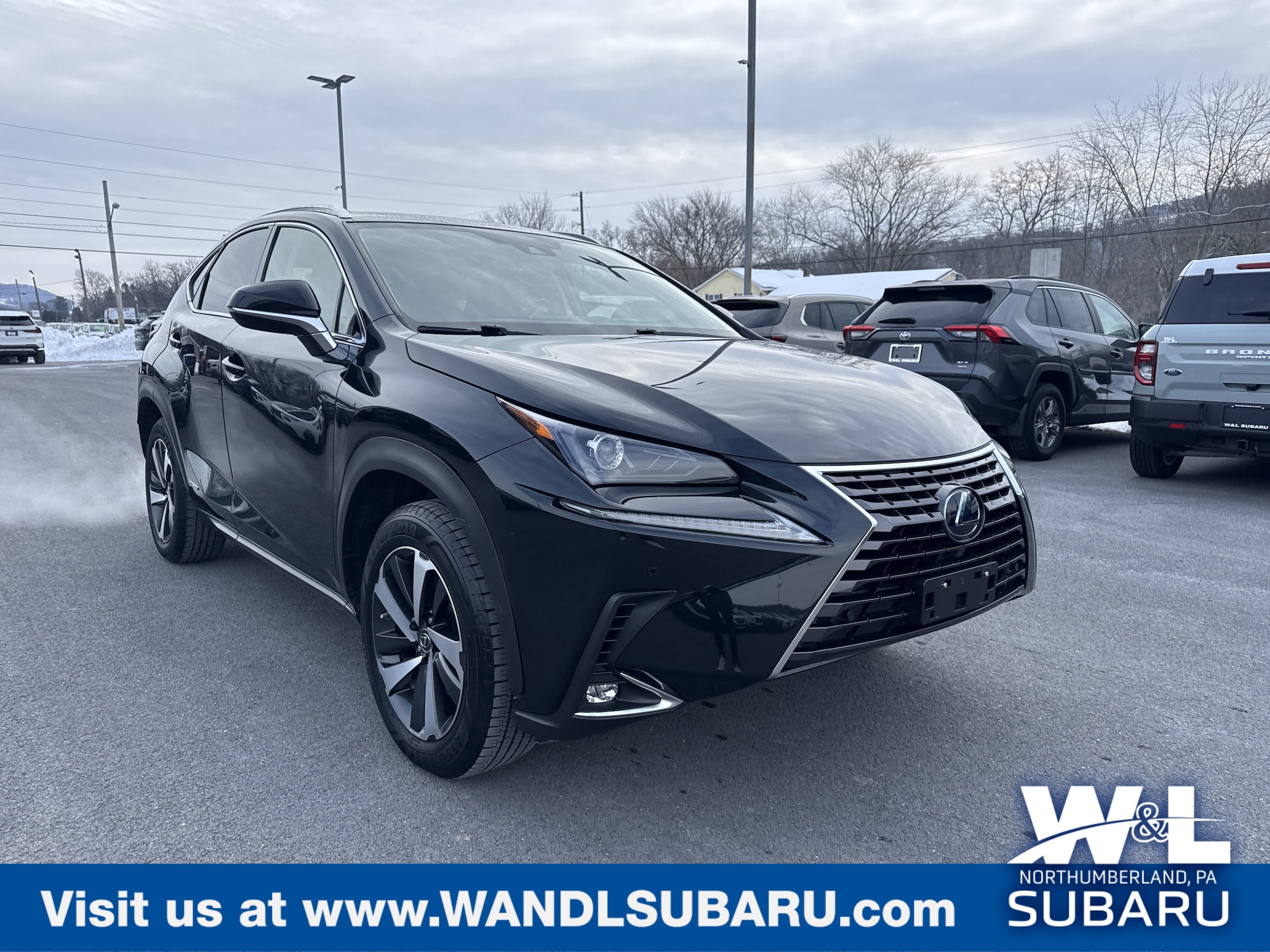 2020 Lexus NX 350h 300h AWD's photo