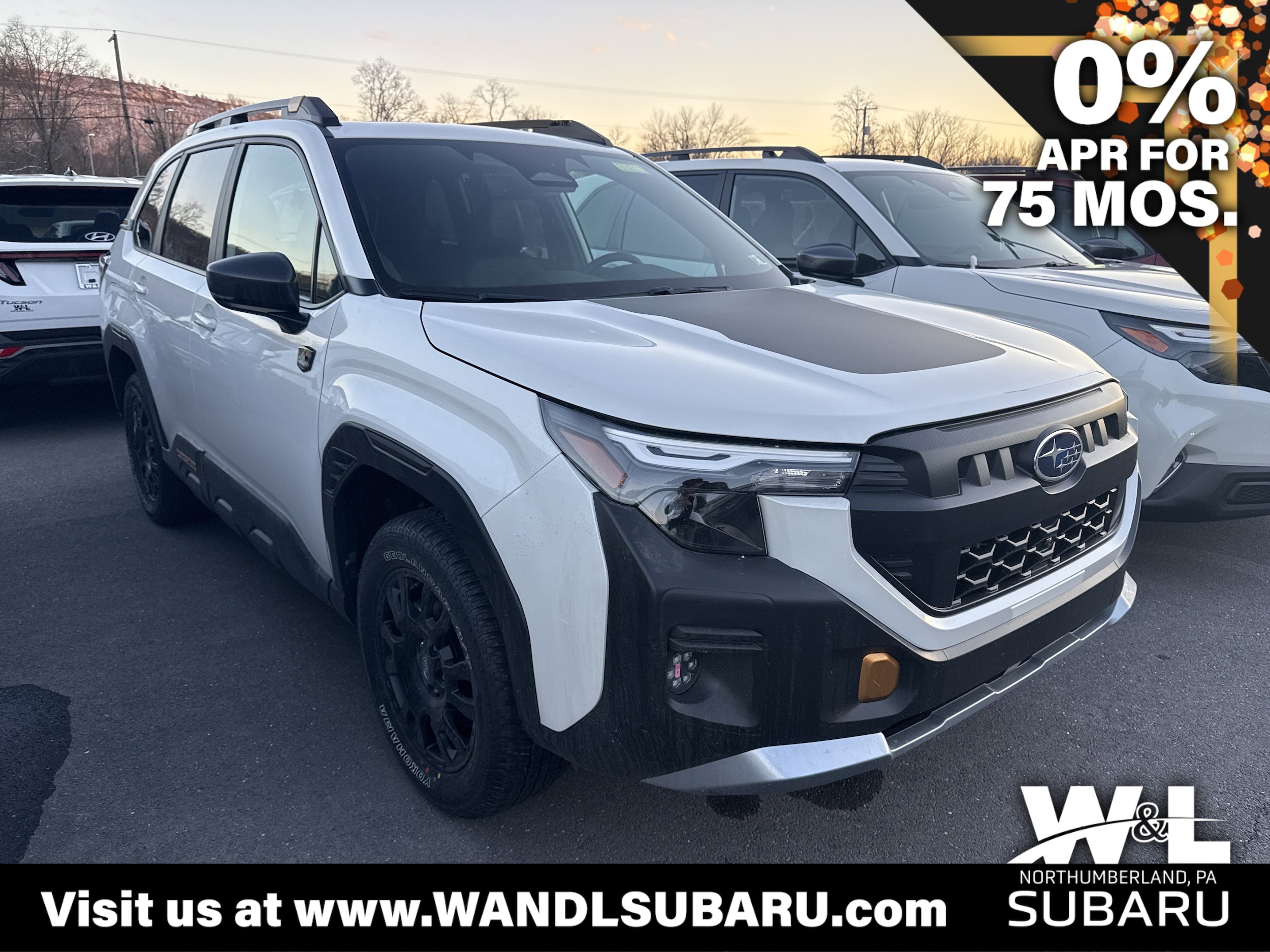 2026 Subaru Forester Wilderness's photo