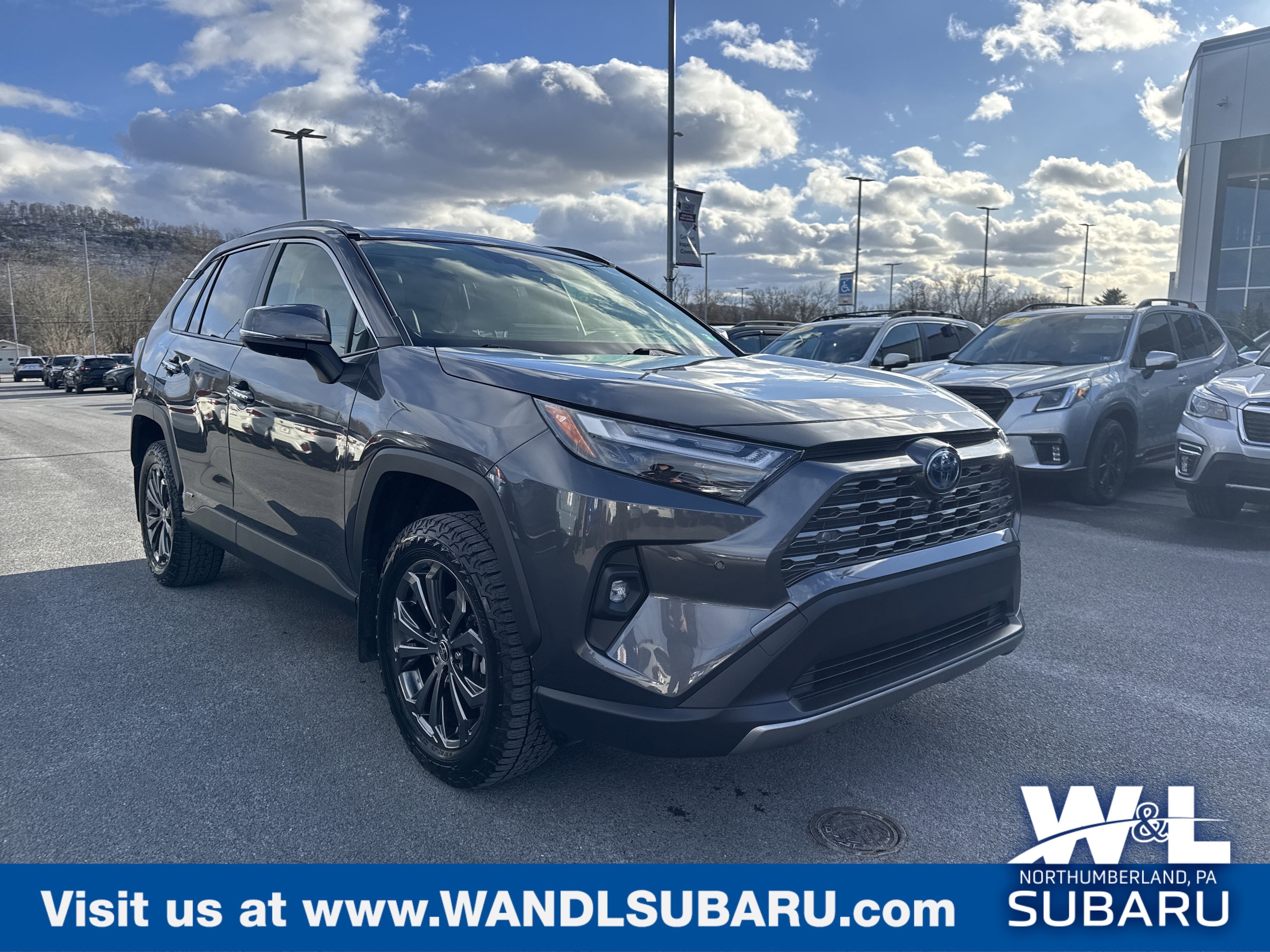 2023 Toyota RAV4 Limited's photo