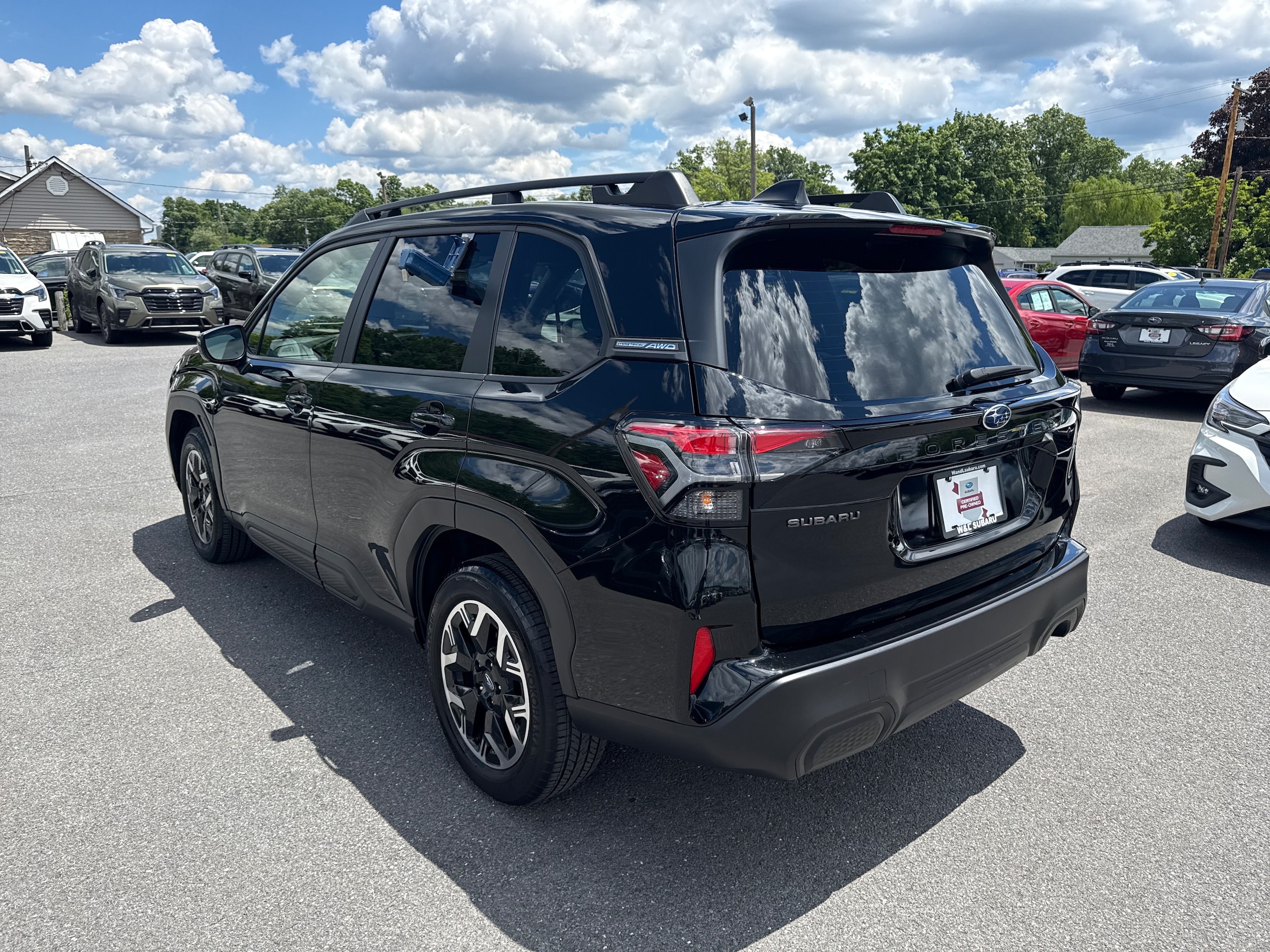 Photo 5