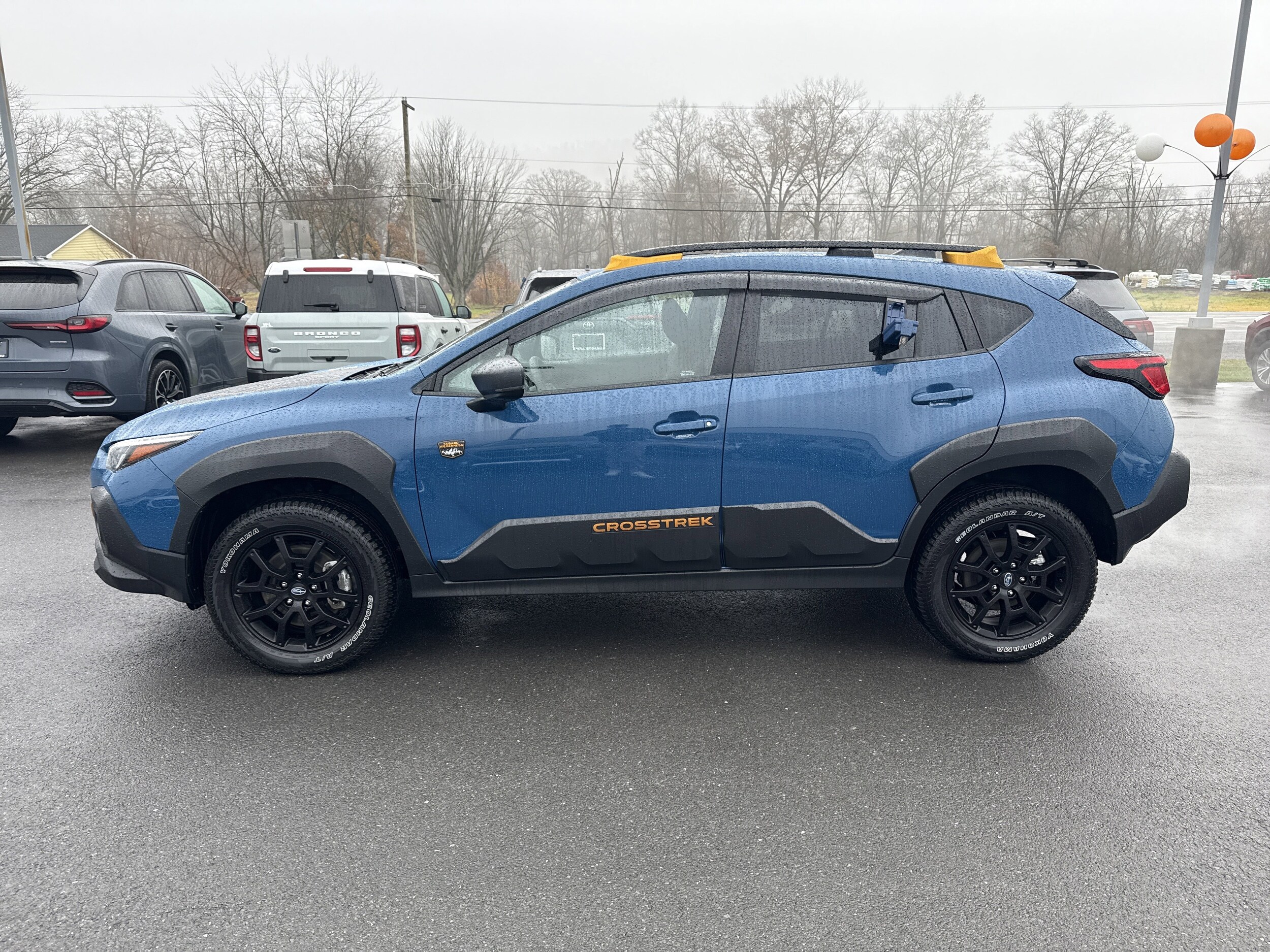 2025 Subaru Crosstrek Wilderness photo 4