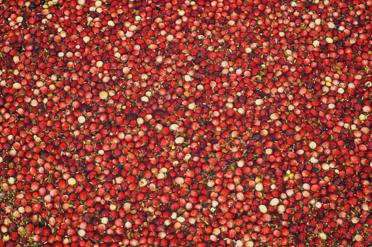 Wareham Ford New Ford & Used Car Dealership in Wareham, MA