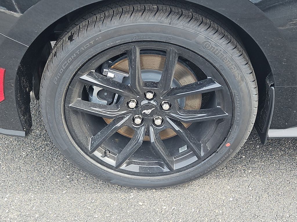 2026 Ford Mustang GT Premium Fastback - Photo 16