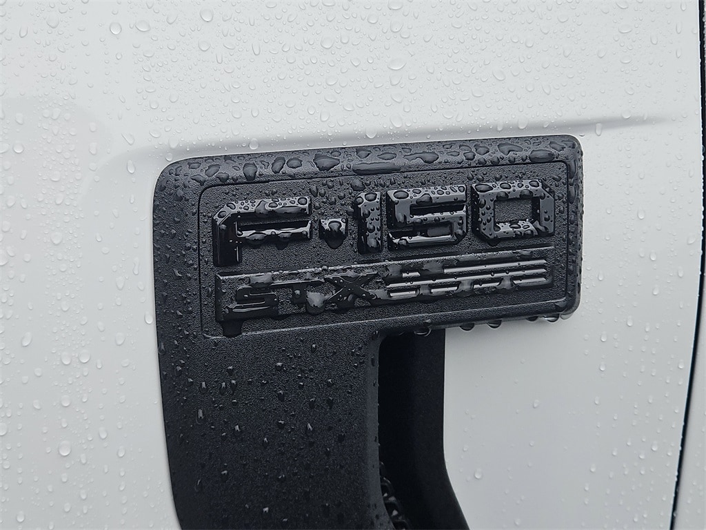 New 2025 Ford F-150 STX TRUCK