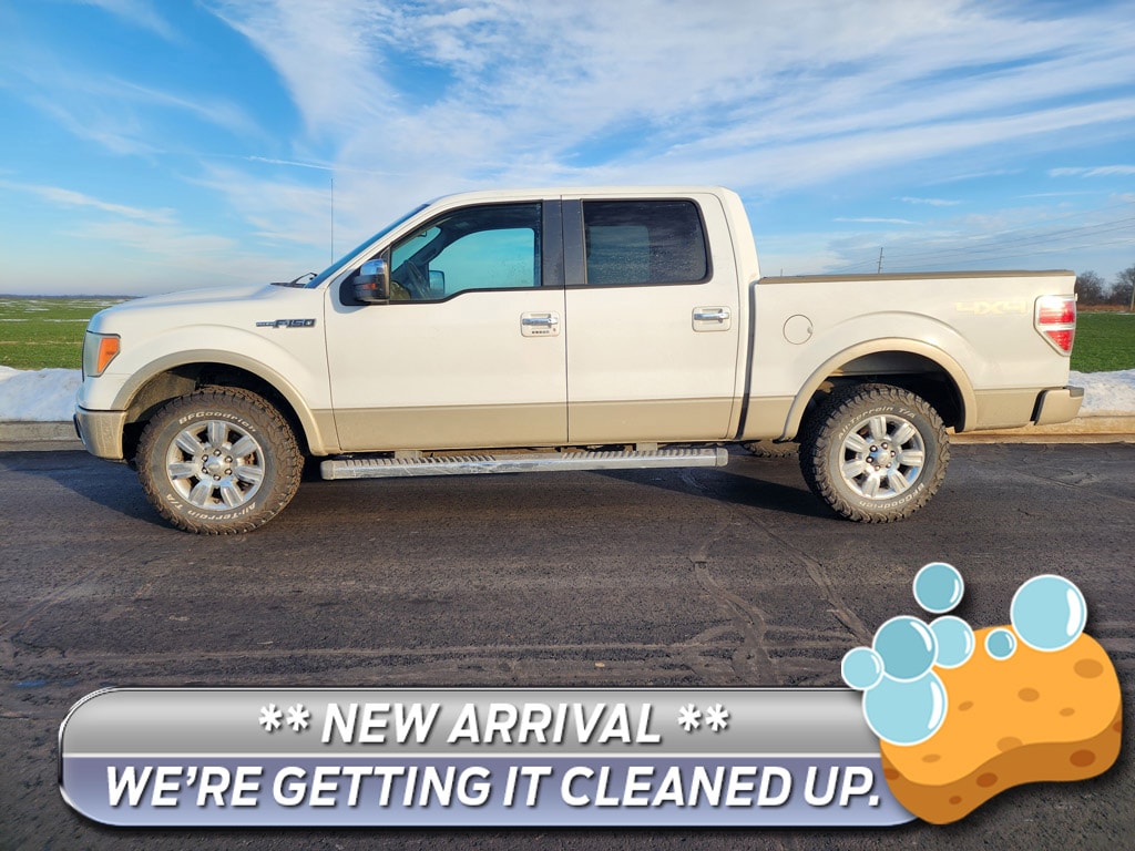 2010 Ford F-150's photo