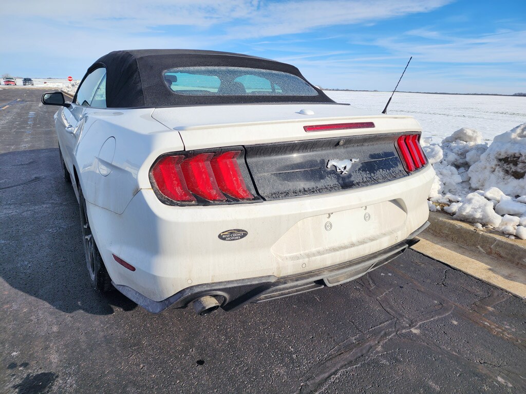 2019 Ford Mustang EcoBoost Premium Convertible photo 3