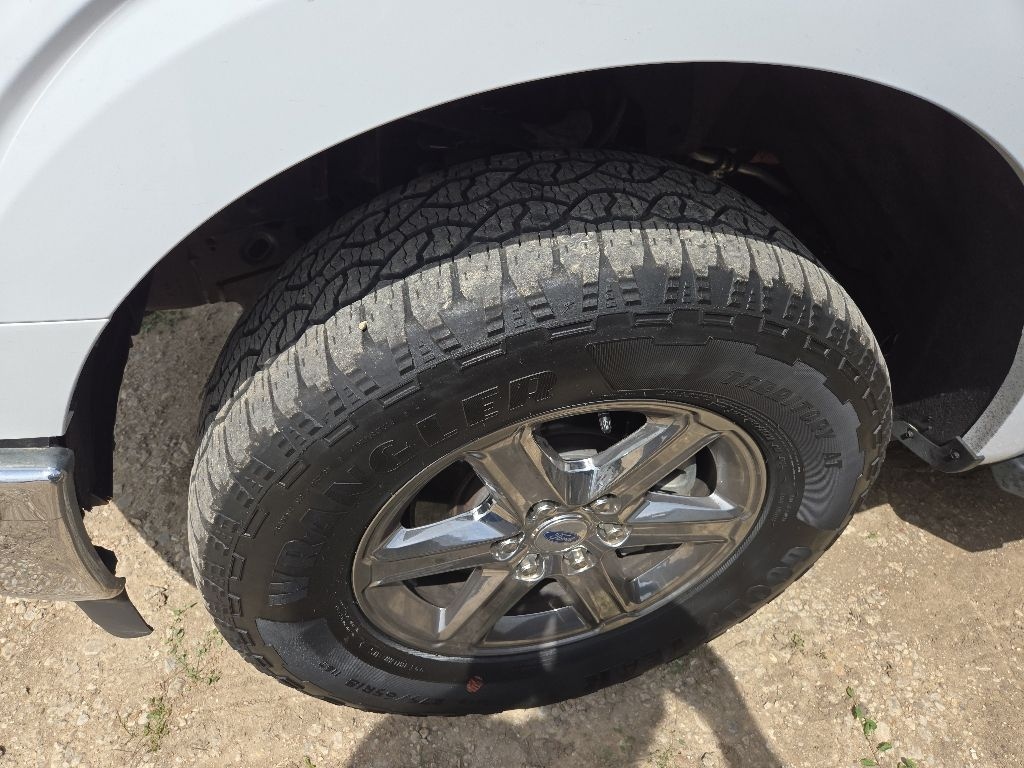 Used 2024 Ford F-150 XLT Truck