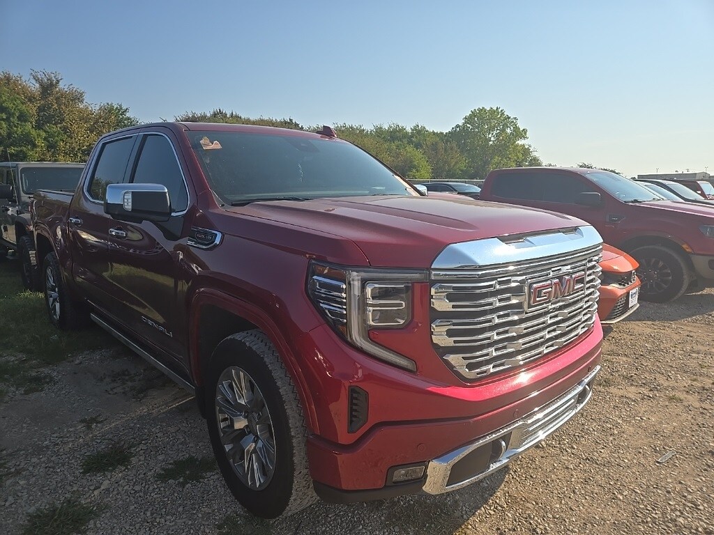 2022 Gmc Sierra 1500 Denali photo 4