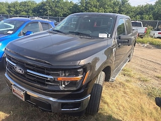 2024 Ford F-150 XLT Truck