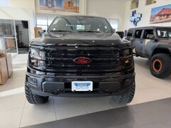 2025 Ford F-150 XLT Truck