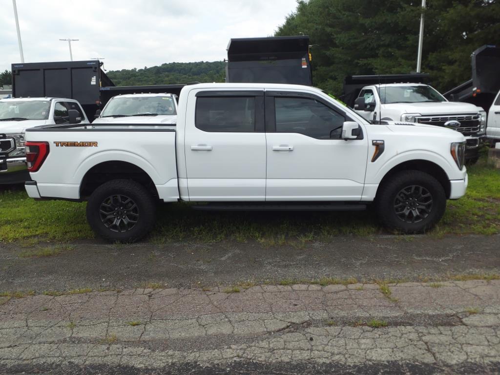 Used 2021 Ford F-150 Tremor with VIN 1FTEW1E82MFC84131 for sale in Honesdale, PA