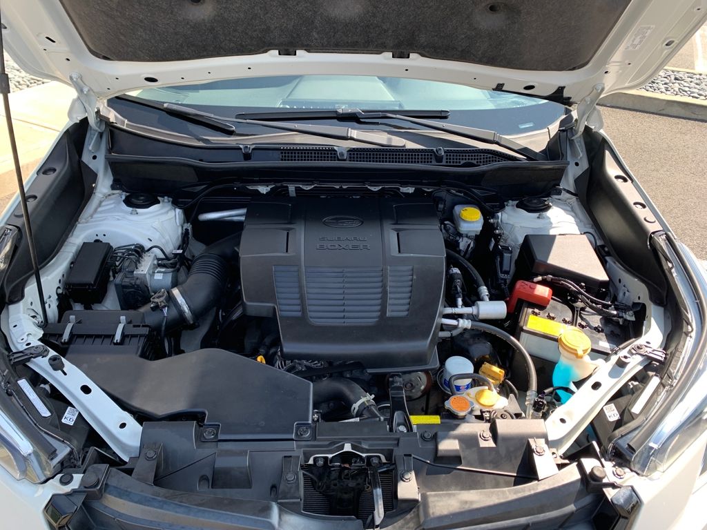 2024 Subaru Forester Premium's photo