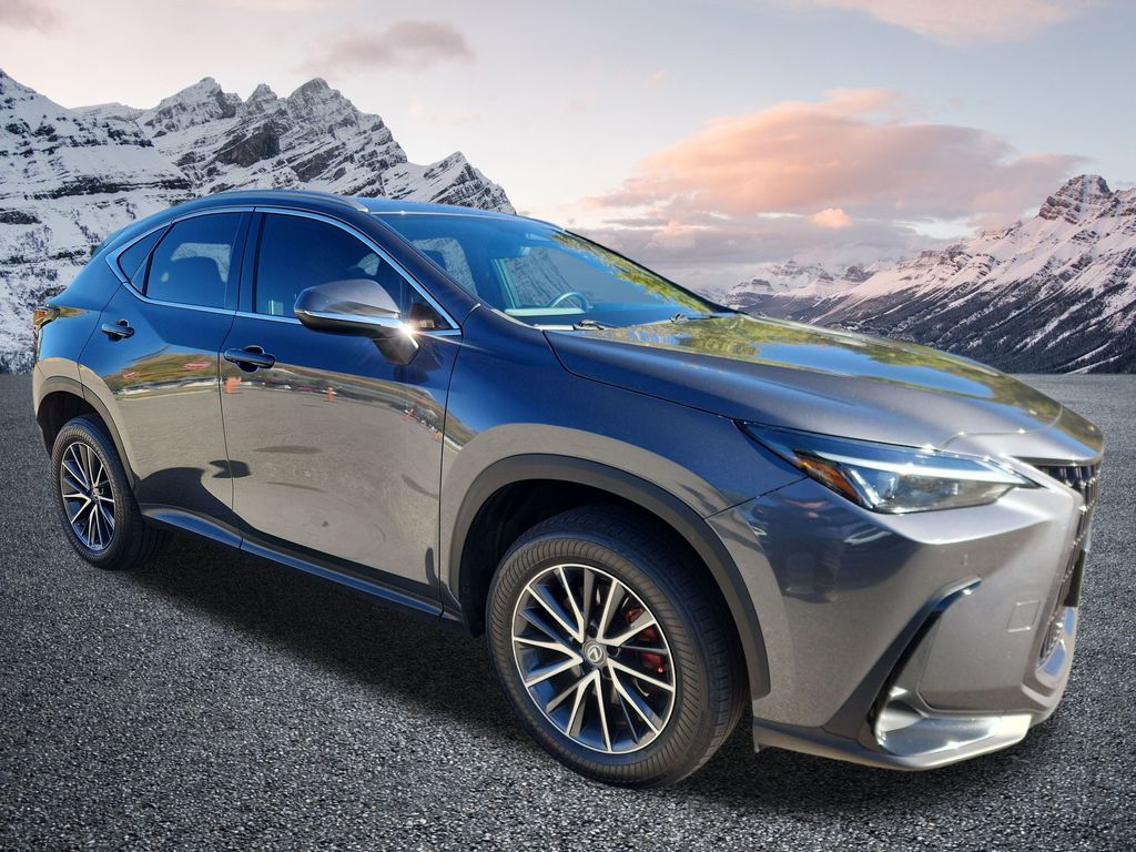 2023 Lexus NX 350's photo