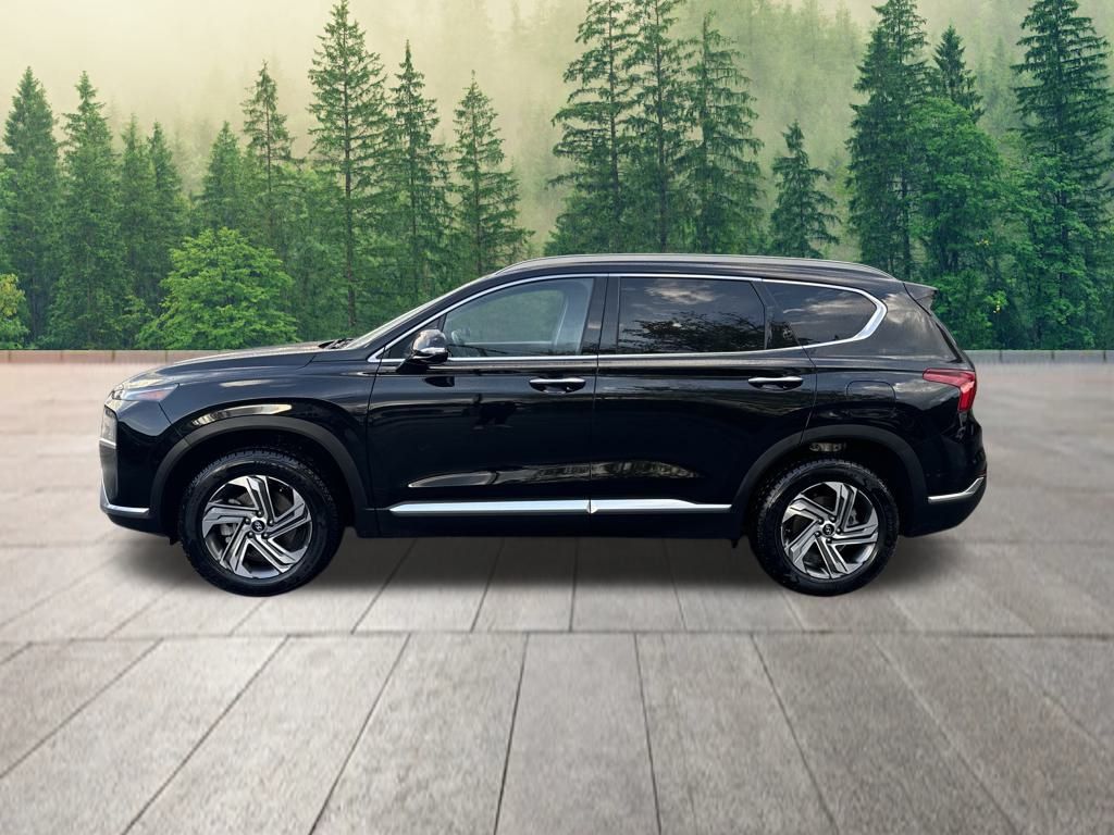 2021 Hyundai Santa Fe SEL Premium photo 2