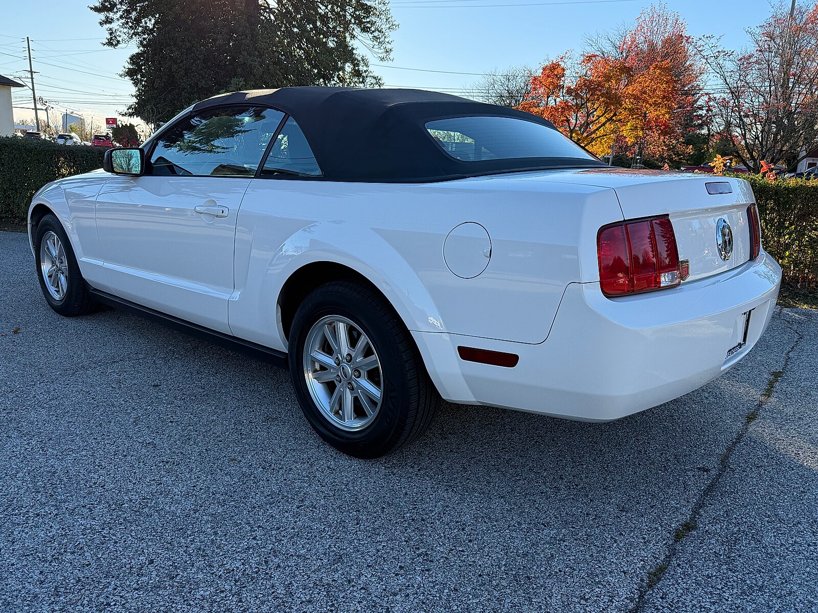 2006 Ford Mustang V6 Deluxe Convertible photo 3