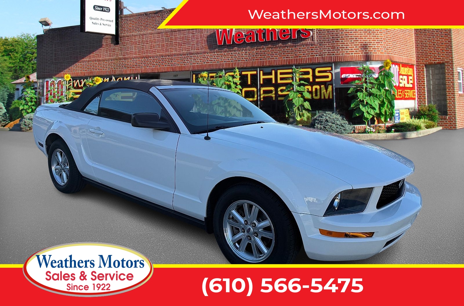 2006 Ford Mustang Standard