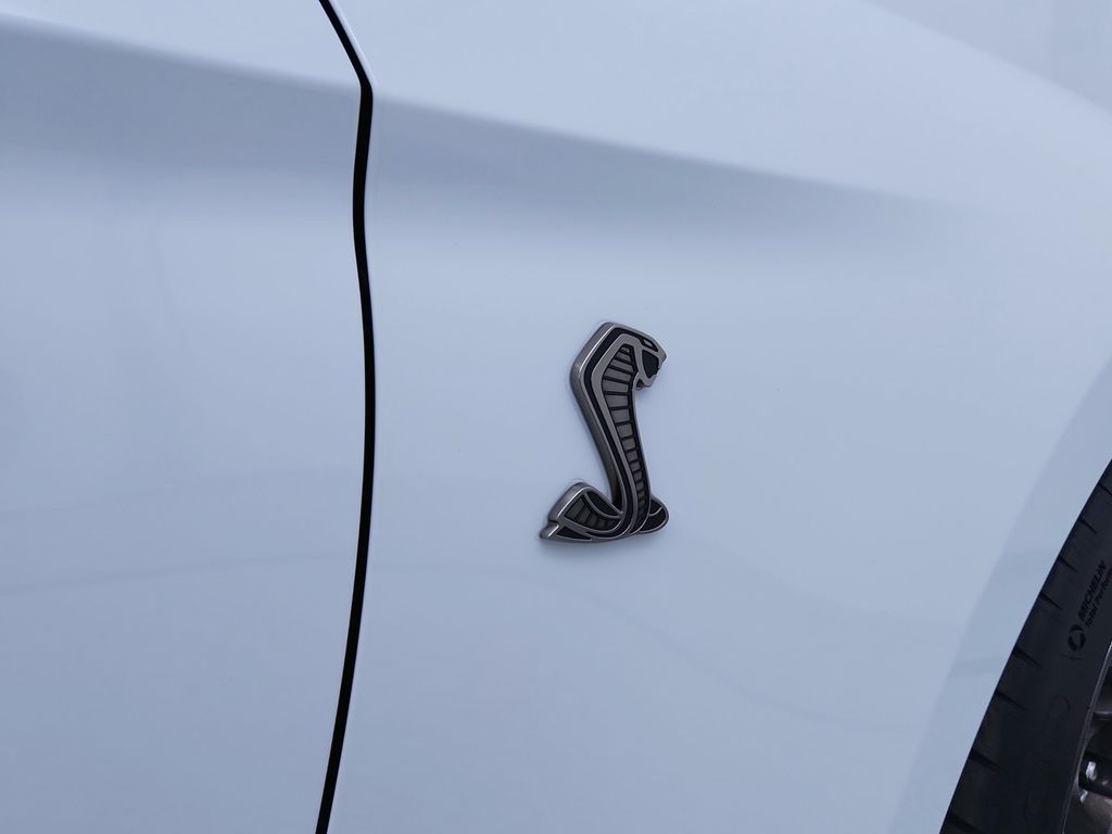 2020 Ford Mustang Shelby GT500 - Photo 37