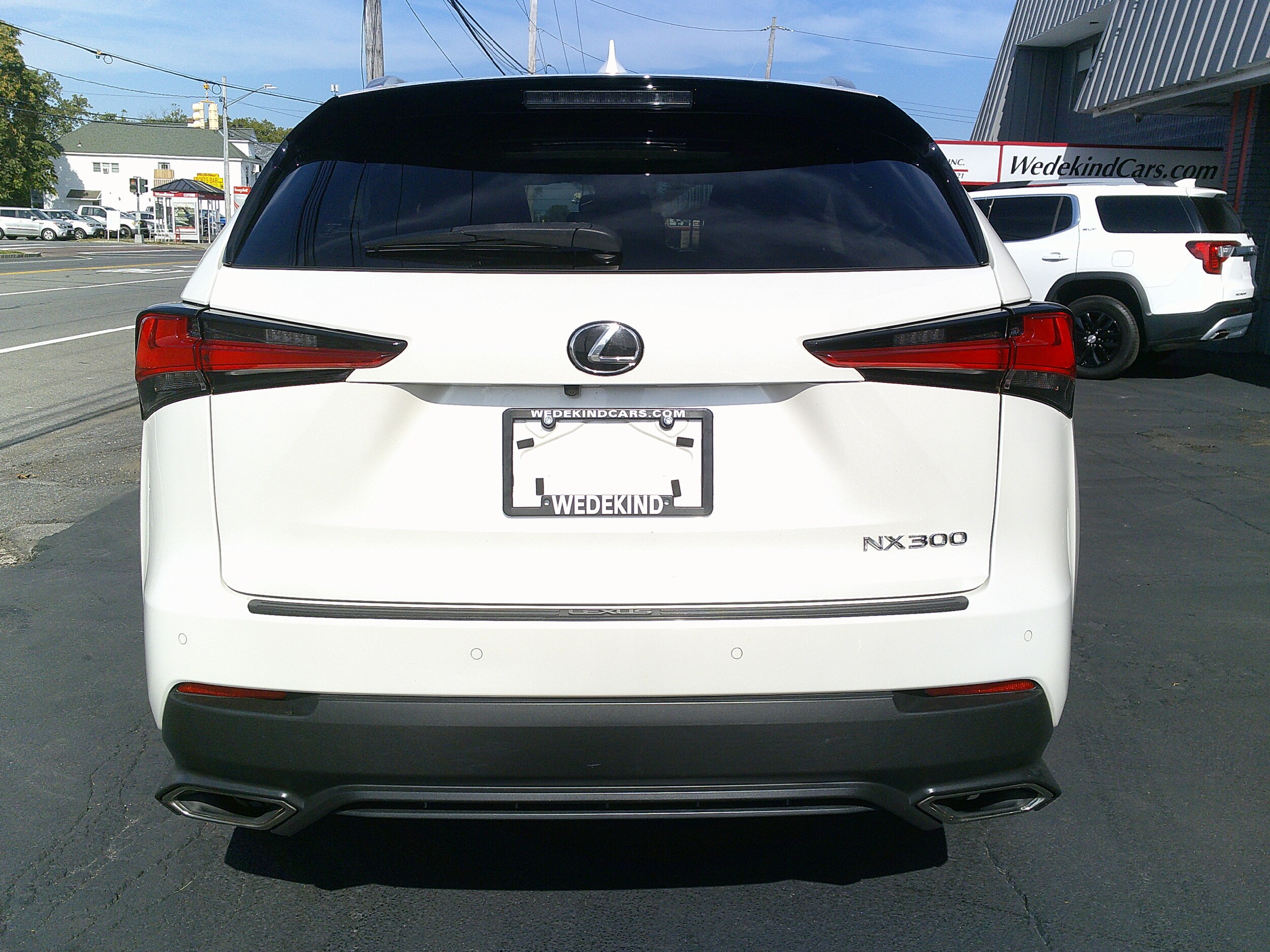 2018 Lexus NX 300 Luxury photo 4
