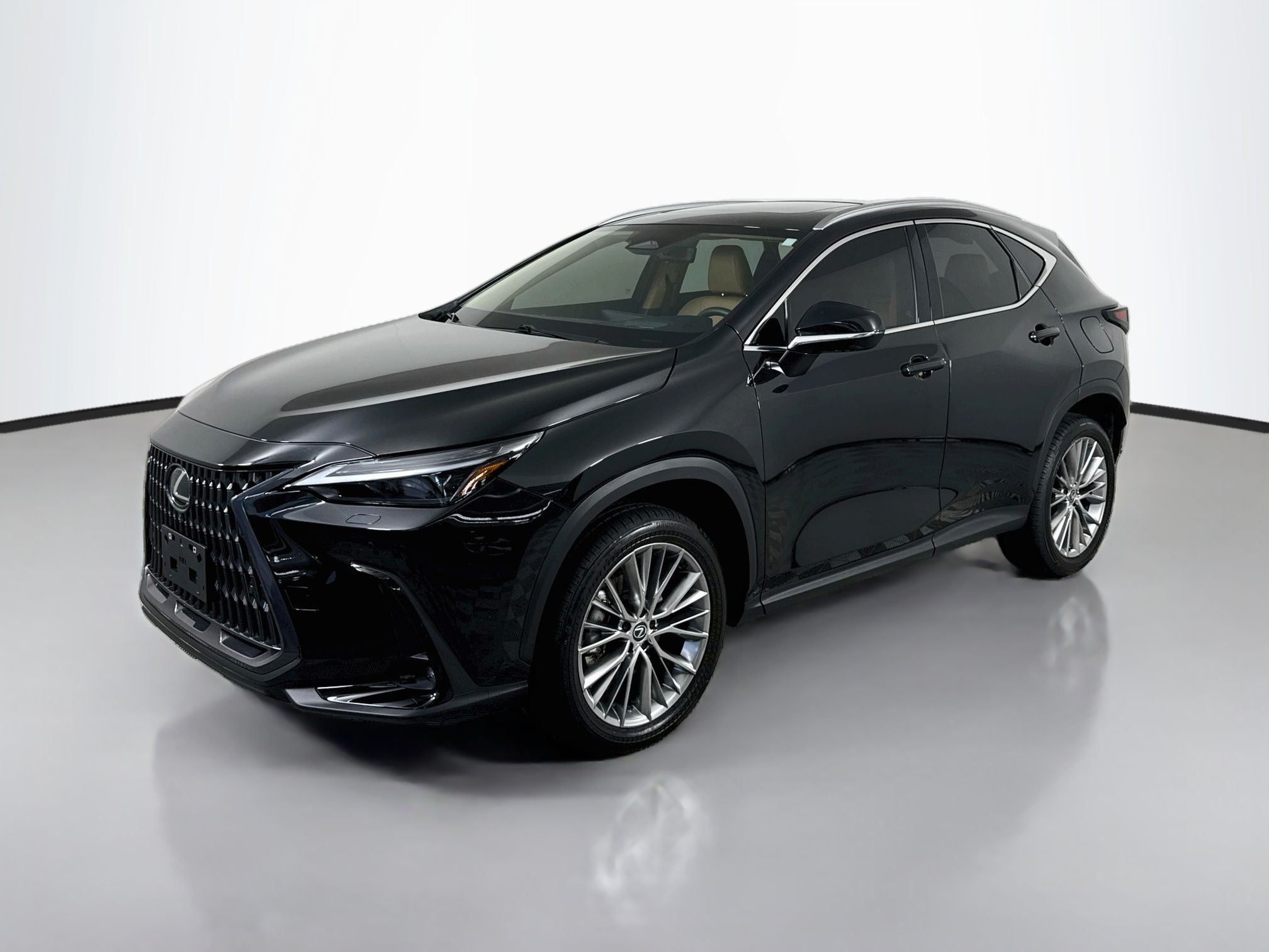 2024 Lexus NX