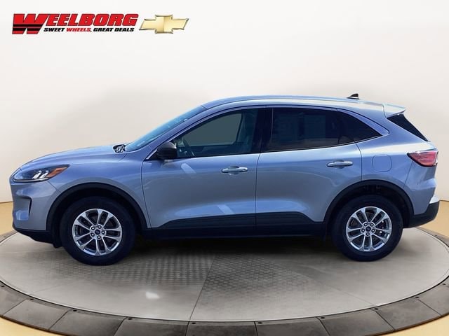 Used 2022 Ford Escape SE with VIN 1FMCU9G66NUA39204 for sale in Glencoe, Minnesota