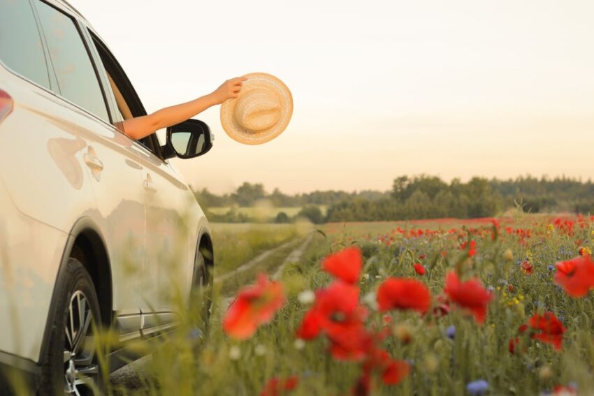 Driving in spring