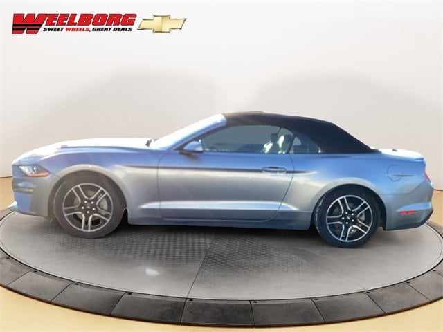 Used 2022 Ford Mustang EcoBoost with VIN 1FATP8UH9N5119737 for sale in Glencoe, Minnesota