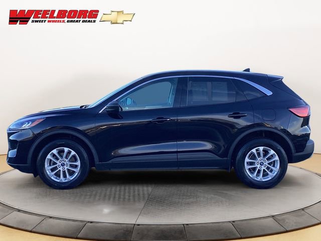 Used 2022 Ford Escape SE with VIN 1FMCU9G69NUA63061 for sale in Glencoe, Minnesota