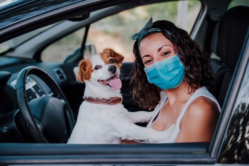Girl with her pet dog in the car