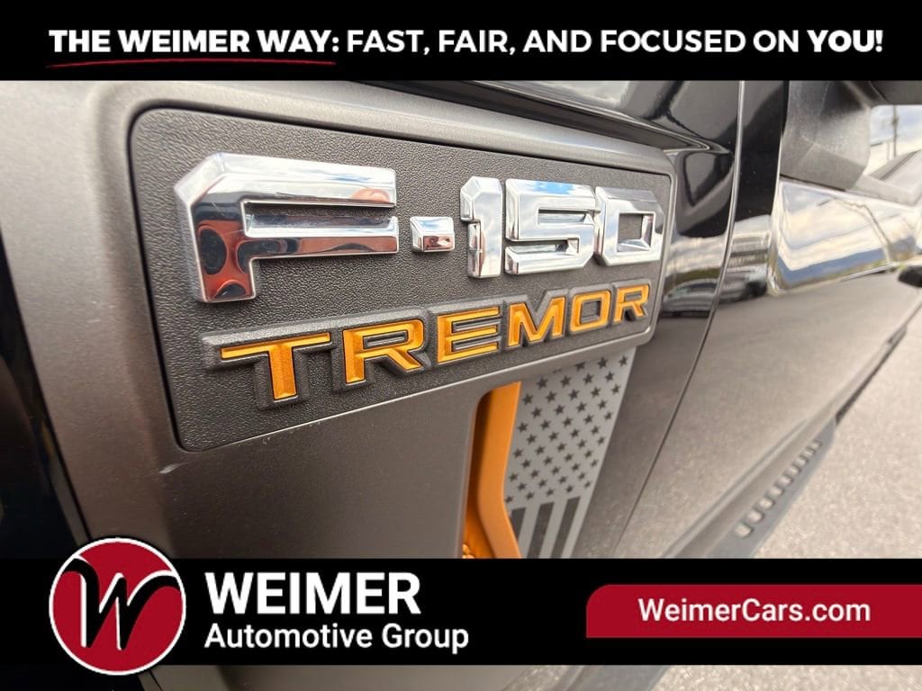 2023 Ford F-150 Tremor - Photo 9