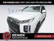 Used 2024 Hyundai Palisade Calligraphy Night Edition SUV