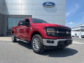 2025 Ford F-150 XLT Truck