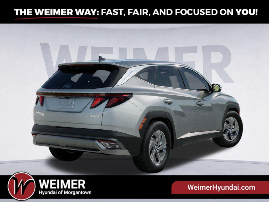 View 4