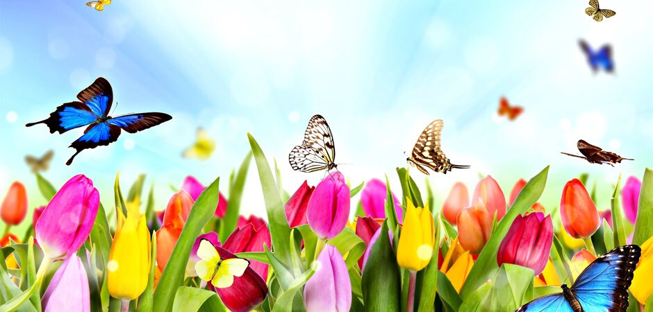 Spring Weather