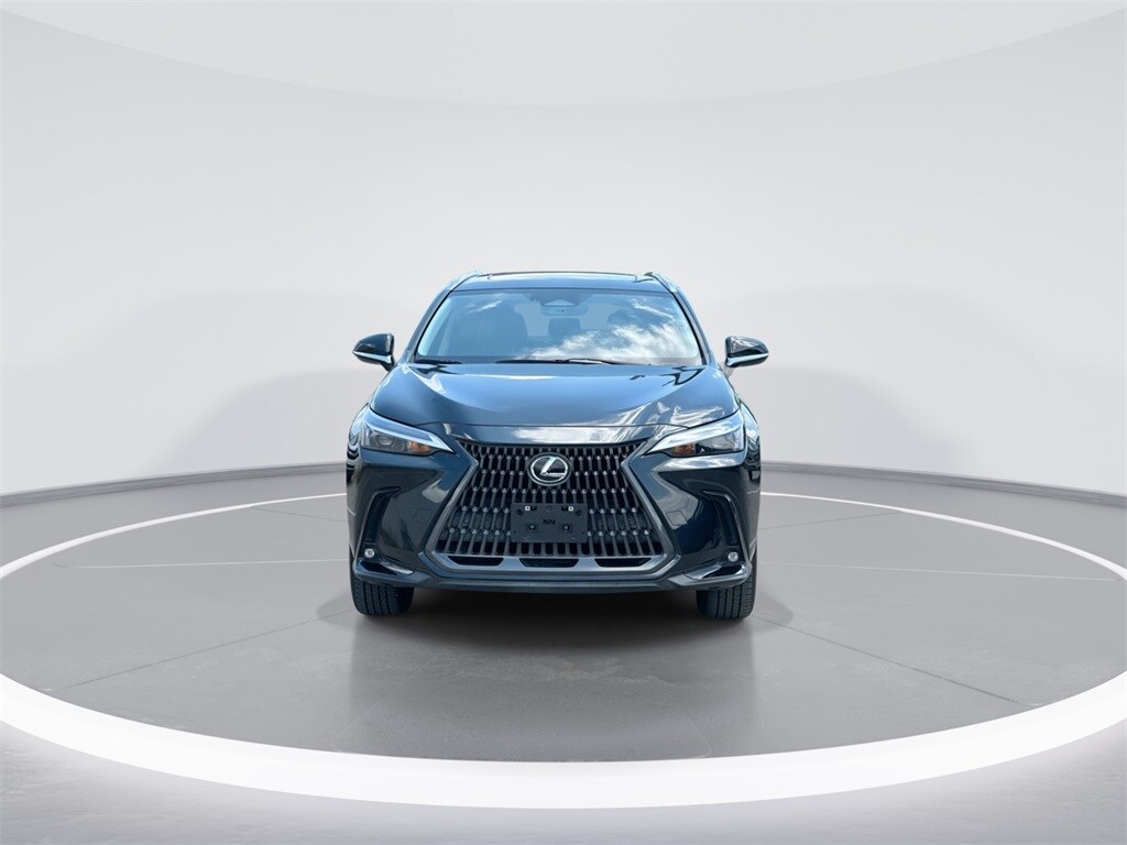 2024 Lexus NX 350 Premium photo 3