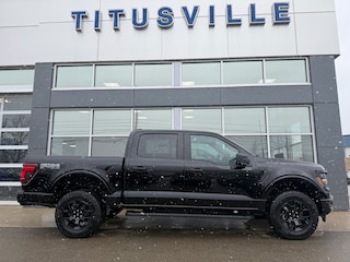 2025 Ford F-150 STX STX 4WD SuperCrew 5.5 Box