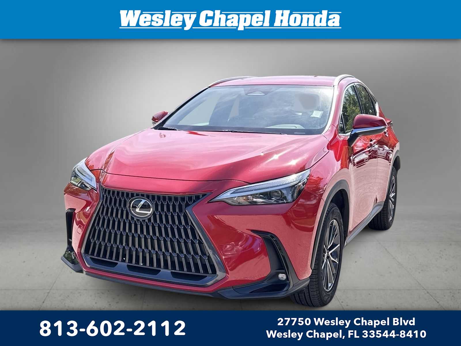 2023 Lexus NX