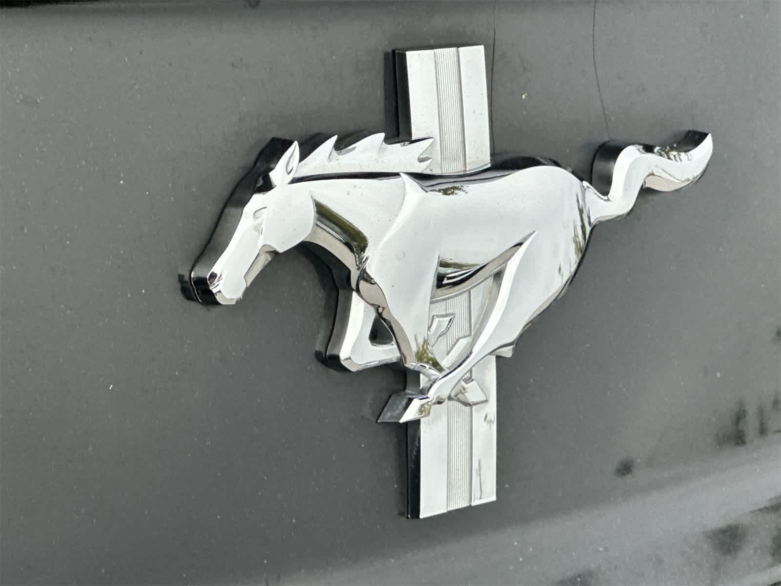 Thumbnail: 2017 Ford Mustang - 10